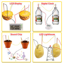 Load image into Gallery viewer, Fruit Battery Science Experiment Kit - GP TOYS
